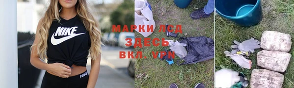 гидра Заводоуковск