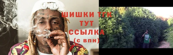 гидра Заводоуковск
