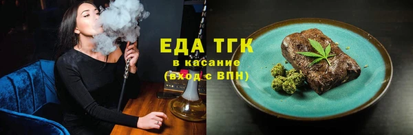 гидра Заводоуковск