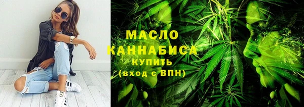 гидра Заводоуковск