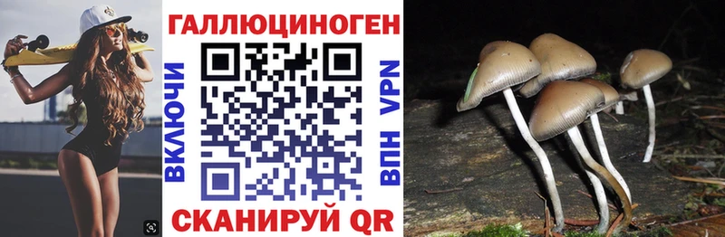 наркошоп  Зубцов  Галлюциногенные грибы Cubensis 